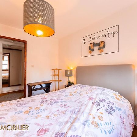 Au Bonheur Des Anges Appartement 2 Chambres Avec Terrasse Colmar Buitenkant foto